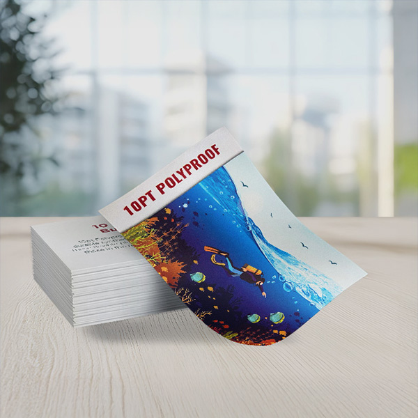 10pt Polyproof Business Cards