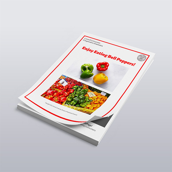 Mixed Color & B/W Copies – 20lb White Paper