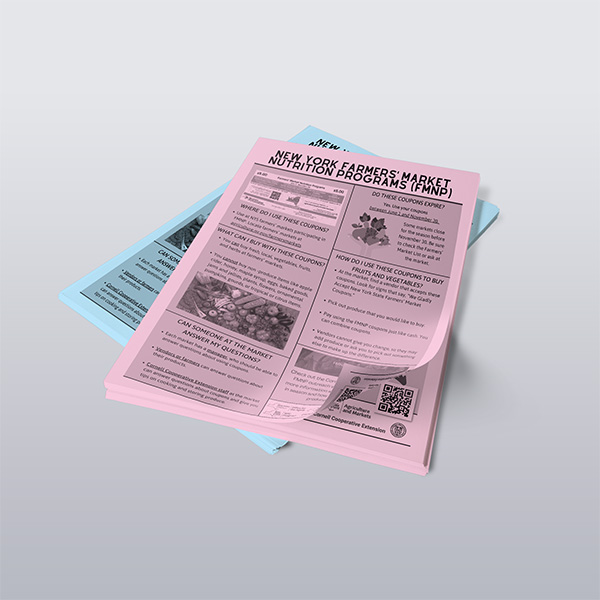 Black & White Copies – <br>20lb Pastel Paper