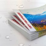 10pt Polyproof Biz Cards