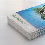 16pt Spot UV Business Cards