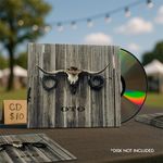 Cheap DIY CD Sleeves