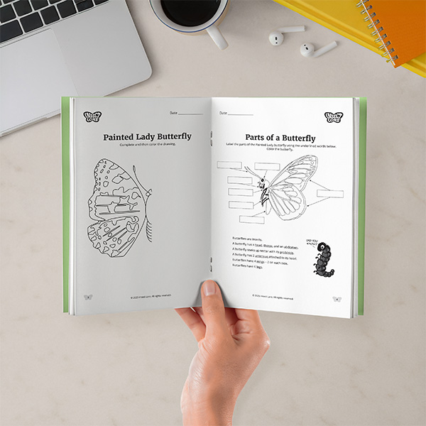 70 Lb Offset Booklet Magazine Cheap