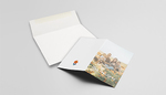 Cheap Folding Cards Envelopes
